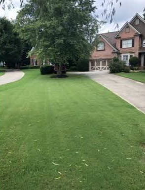 Lawn after service