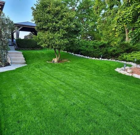 Freshly mowed green lawn in Nolensville